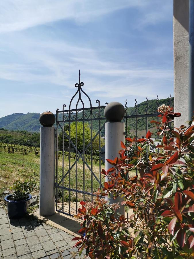Weingut Amlinger&Sohn Neef Exterior foto